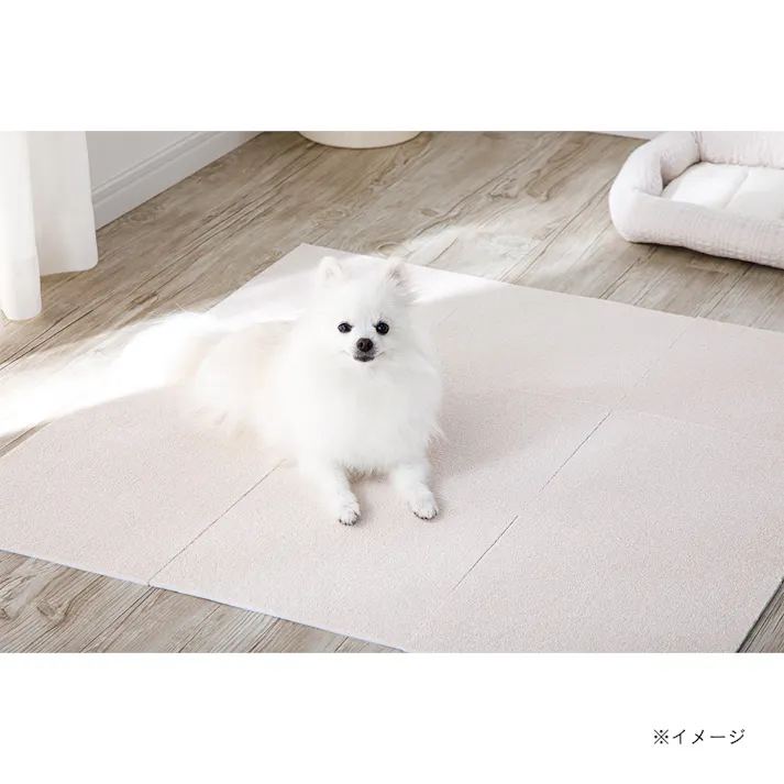 菌や臭いを防ぐ洗える吸着マット&pet アイボリー 9枚組 30×30cm