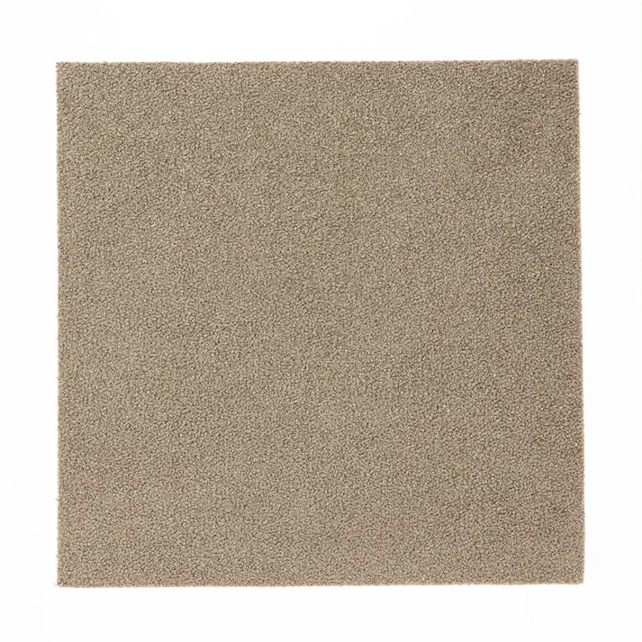 菌や臭いを防ぐ洗える吸着マット&pet モカ 9枚組 30×30cm