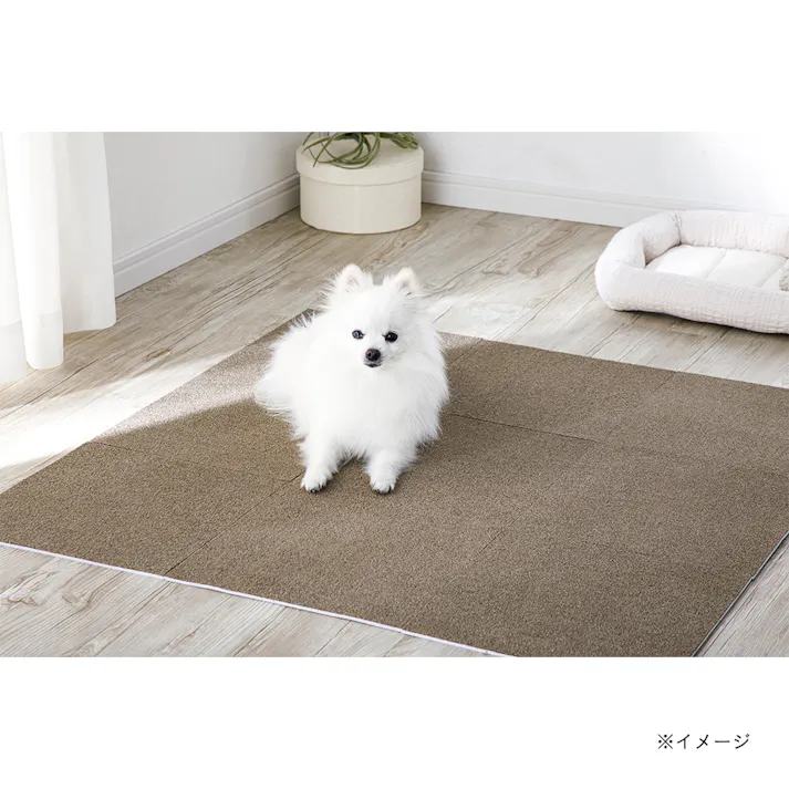 菌や臭いを防ぐ洗える吸着マット&pet モカ 9枚組 30×30cm