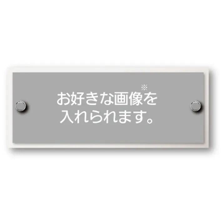 表札 写真deサイン_ワイドサイン CSS200S【別送品】