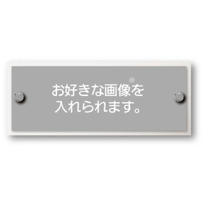 表札 写真deサイン_ワイドサイン CSS200S【別送品】