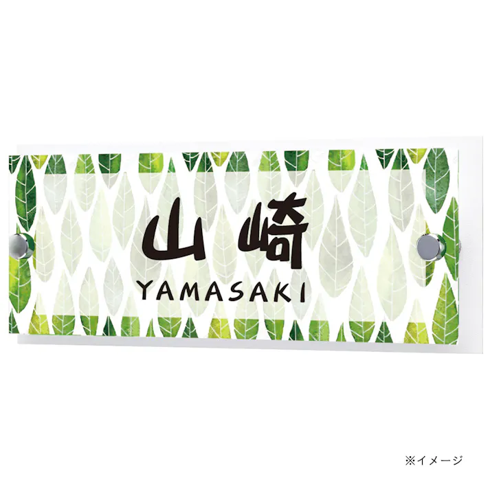 表札 選べるサイン_ワイドサイン CSS200【別送品】