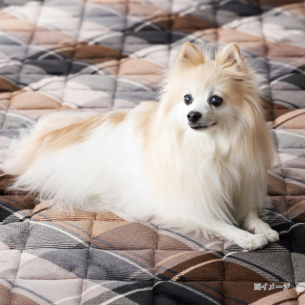 保温性のあるラグ タンネ Pitapa 185×185cm | ラグ・カーペット