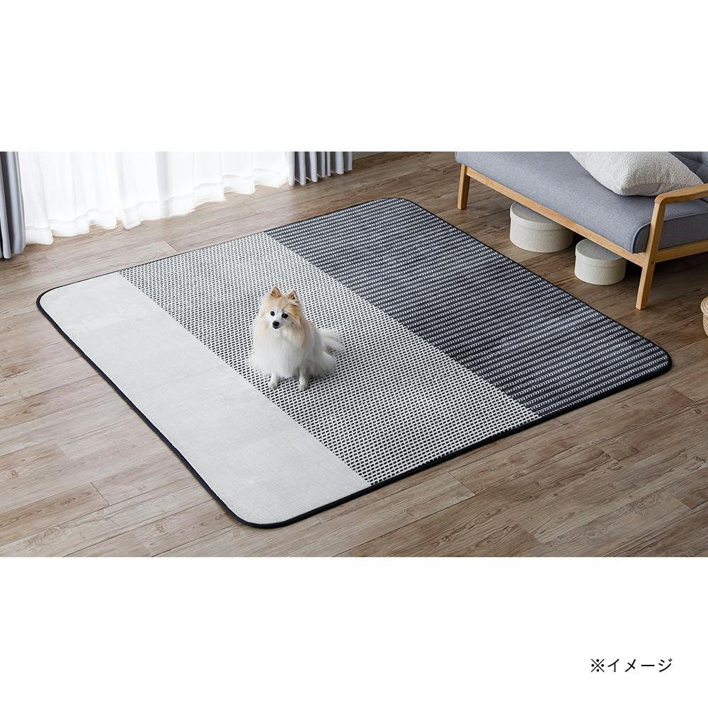 【指定住所配送P10倍】【2024秋冬】ラグ MIZUKUMO ＆Pet シュニー 200×240cm | ラグ・カーペット・マット 通販 |  ホームセンターのカインズ