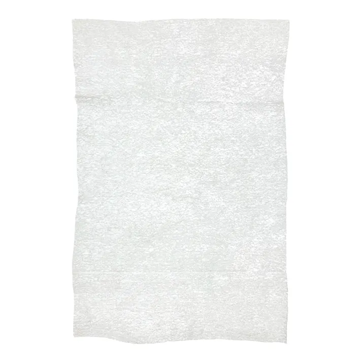 ペット用ウェットティッシュ大容量パック12個入り