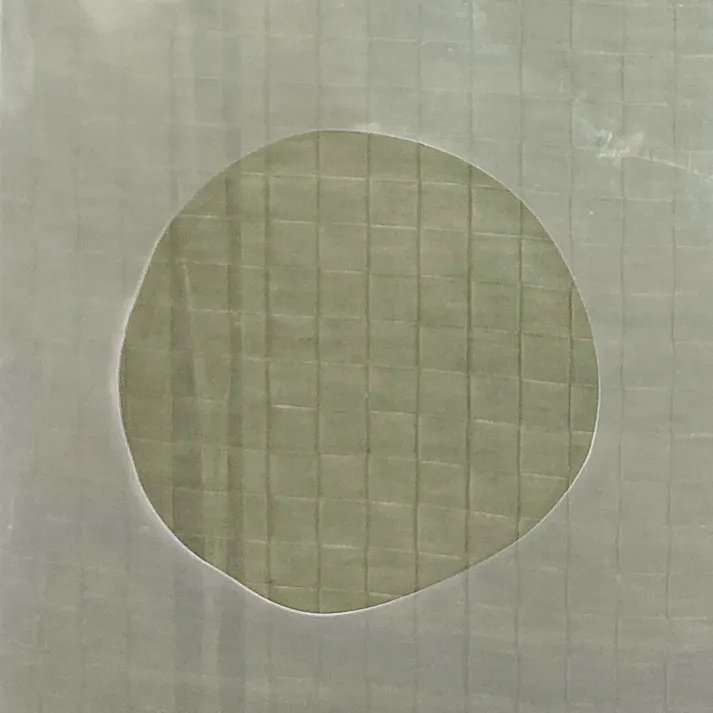 カインズ 耐候剤入り グリーンシート #3000 厚手 7.2m 9.0m 約40畳 ハトメ付き