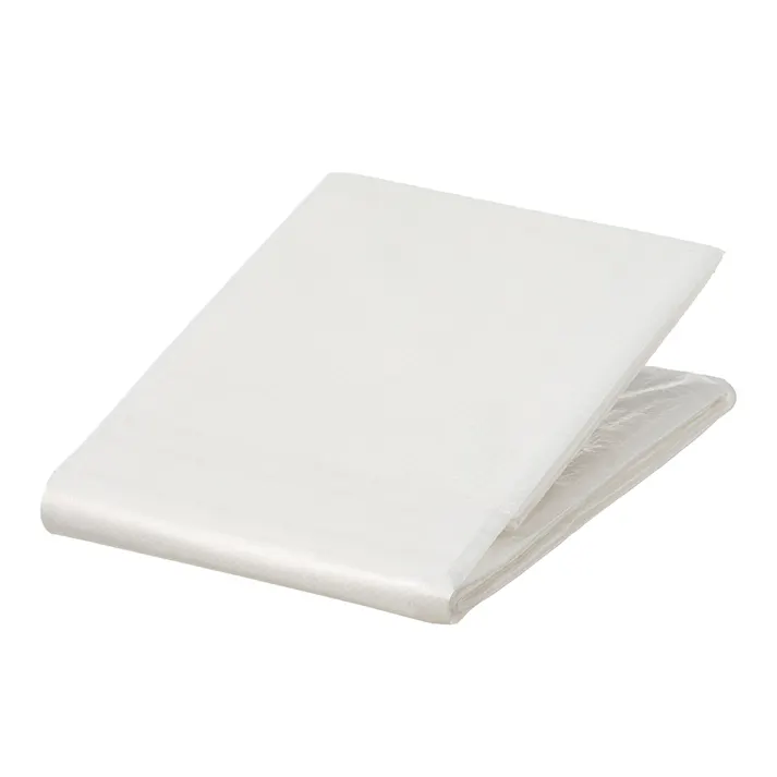 カインズ クリアシート #2000 クリア 半透明 2.7m 3.6m 約6畳 ハトメ付き