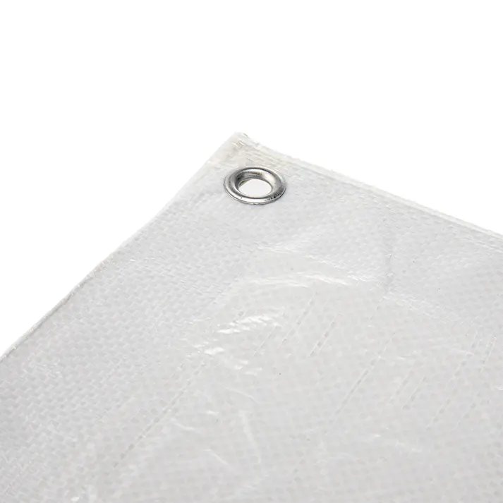 カインズ クリアシート #2000 クリア 半透明 2.7m 3.6m 約6畳 ハトメ付き