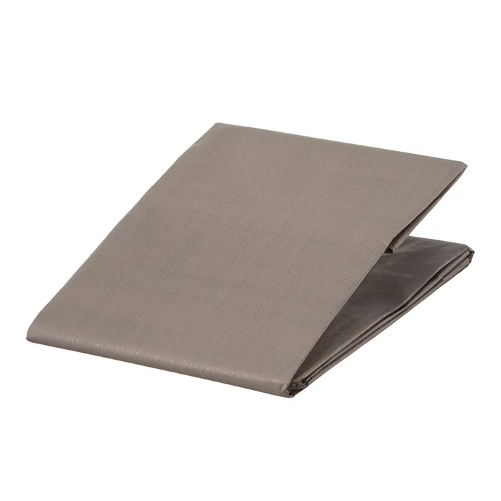 カインズ 多用途カラーシート matty マットグレー 1.8m 2.7m 約3畳 ハトメ付き