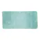 洗える玄関マット シャギー ミントグリーン 60×120cm