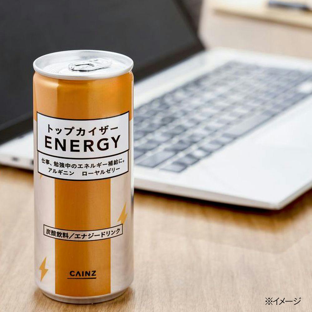 CAINZ トップカイザーエナジー 250ml 1本 | 栄養補助食品・機能