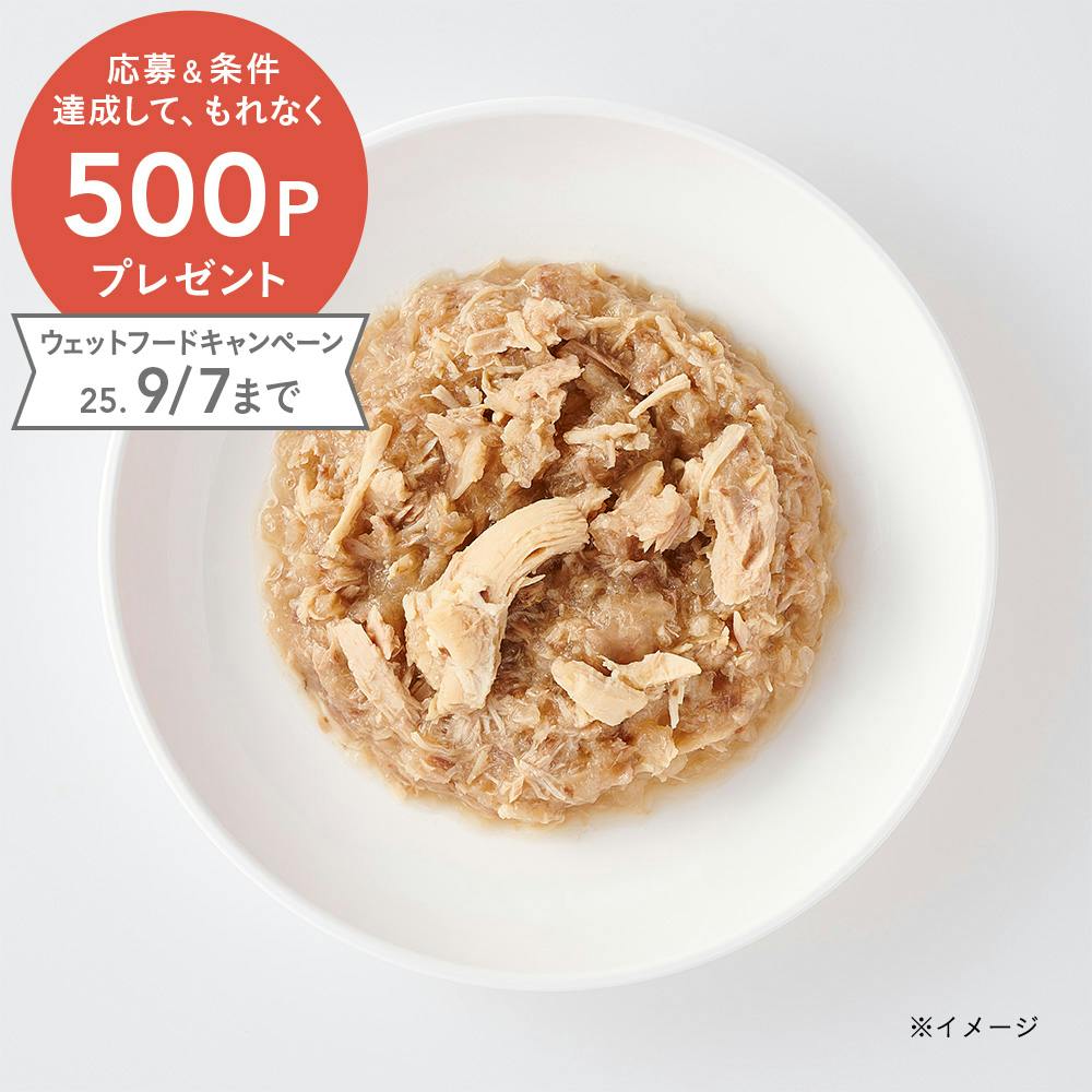 まぐろかつお グルメパウチ ささみ ゼリー仕立て 70g 猫用ウェットフード(パウチ) まぐろかつお グルメパウチ ささみ ゼリー仕立て 70g 猫用ウェットフード(パウチ)