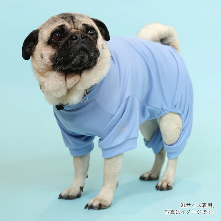 【送料無料】不快害虫から愛犬を守るペットスーツ ブルー Mサイズ ペット服(犬の服)