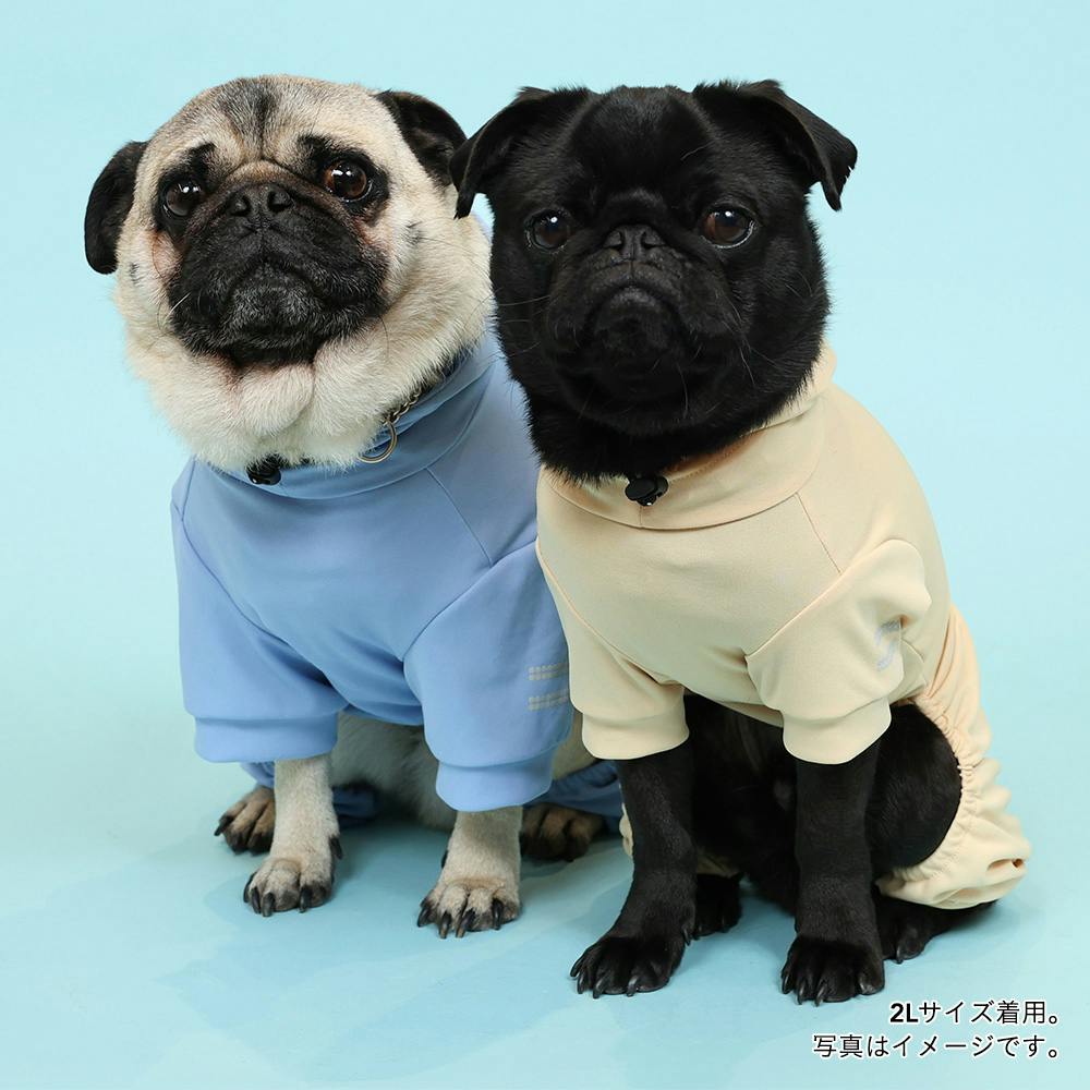 送料無料】不快害虫から愛犬を守るペットスーツ ブルー SDサイズ