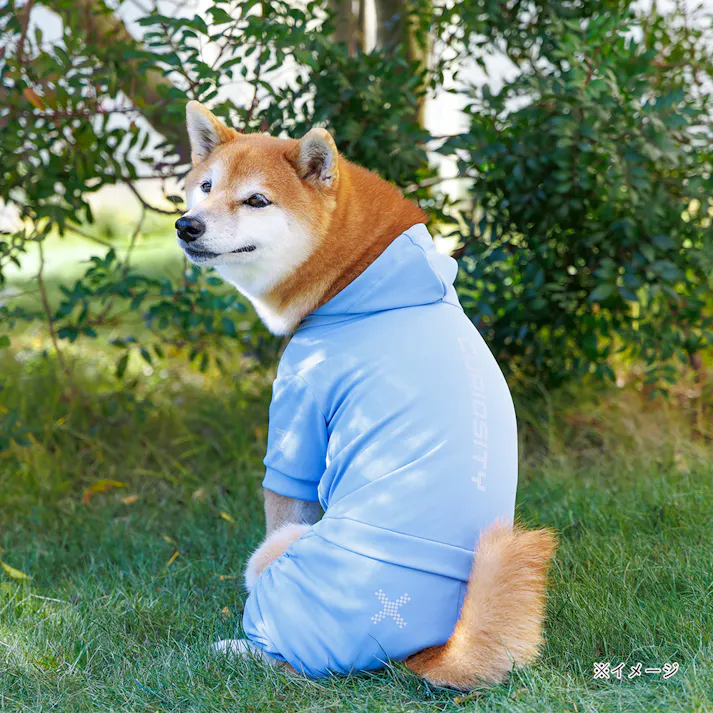 【送料無料】不快害虫から愛犬を守るペットスーツ ブルー 2Lサイズ ペット服(犬の服)