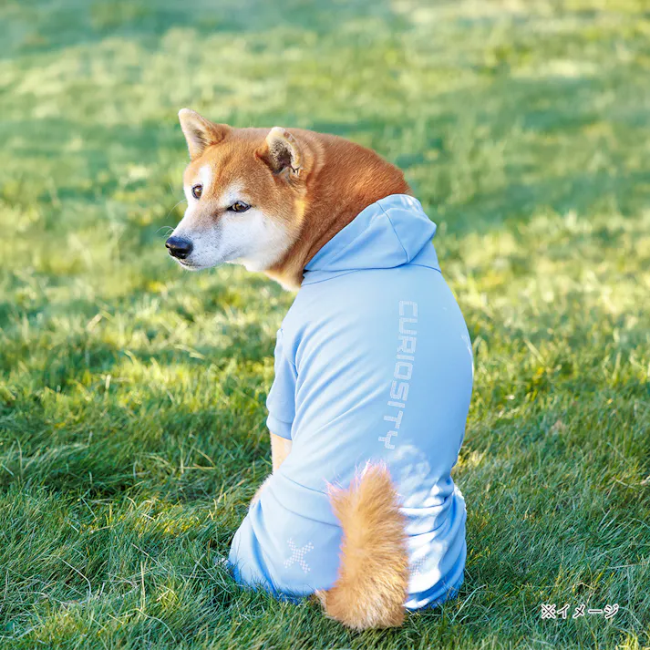 【送料無料】不快害虫から愛犬を守るペットスーツ ブルー 2Lサイズ ペット服(犬の服)