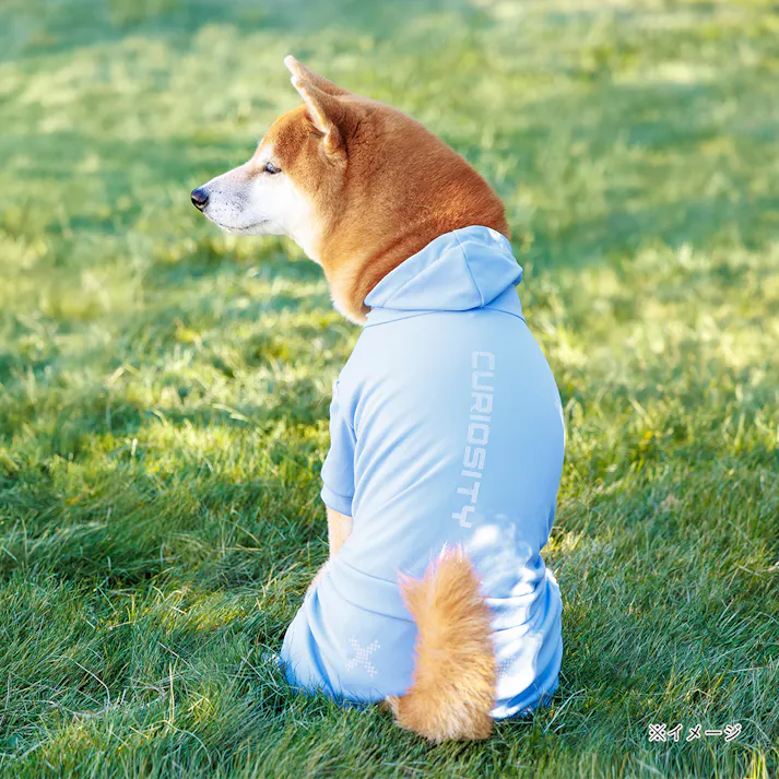 【送料無料】不快害虫から愛犬を守るペットスーツ ブルー 2Lサイズ ペット服(犬の服)