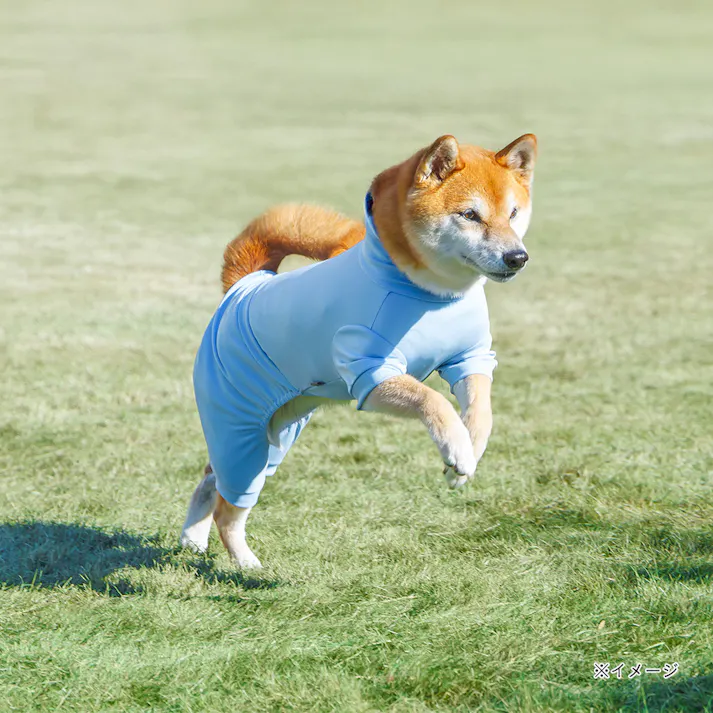 【送料無料】不快害虫から愛犬を守るペットスーツ ブルー 2Lサイズ ペット服(犬の服)