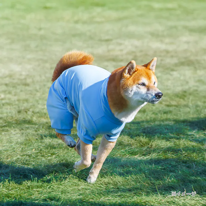 【送料無料】不快害虫から愛犬を守るペットスーツ ブルー 2Lサイズ ペット服(犬の服)