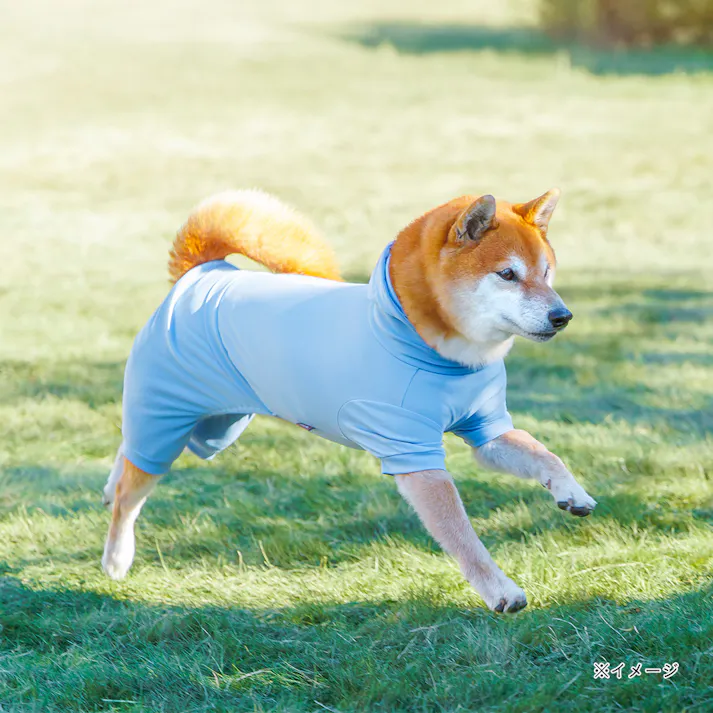 【送料無料】不快害虫から愛犬を守るペットスーツ ブルー 2Lサイズ ペット服(犬の服)