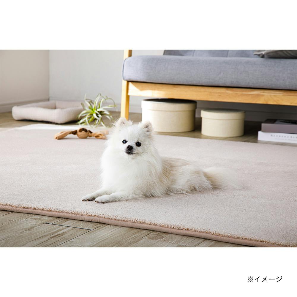 ＆Pet 低反発ふんわりラグ 185cm×185cm ベージュ | ラグ・カーペット
