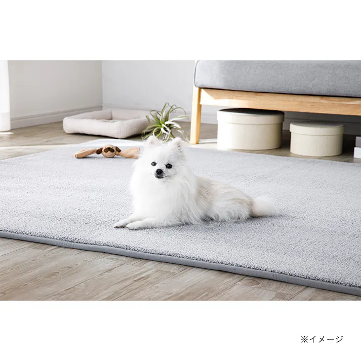 &Pet 低反発ふんわりラグ&Pet 185cm×185cm グレー