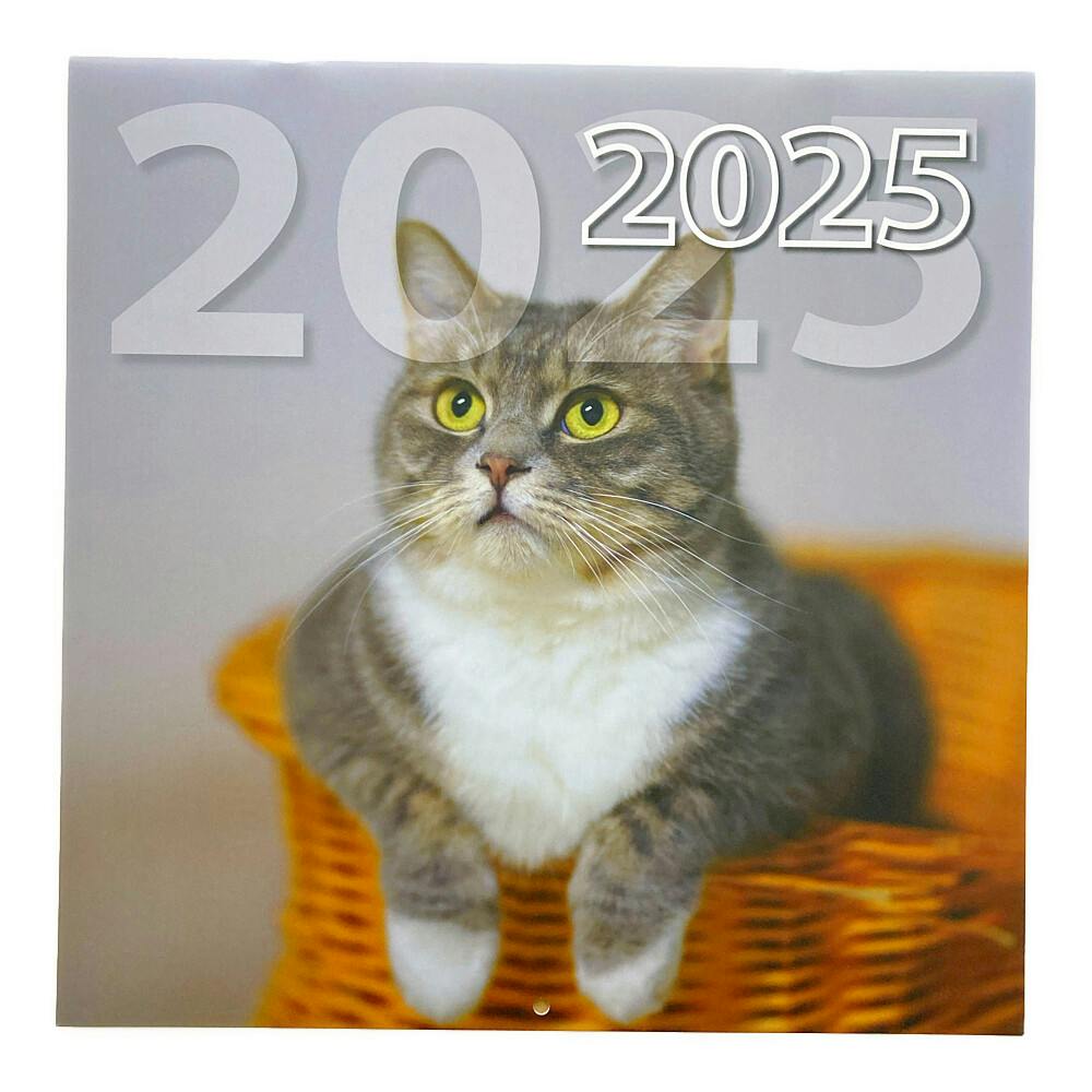カインズ 9月から使える 月曜始まりカレンダー 2025年度 猫-2
