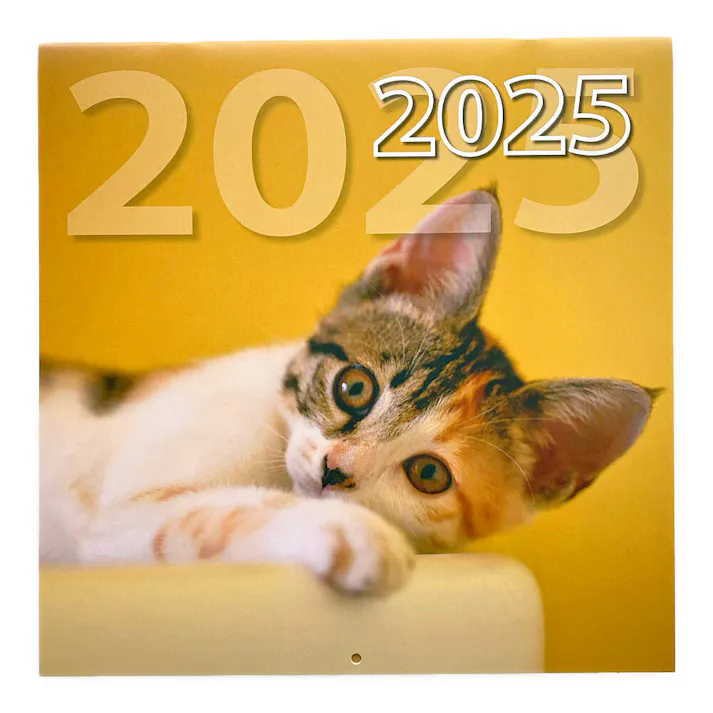 カインズ 9月から使える 月曜始まりカレンダー 2025年度 猫-3(販売終了)