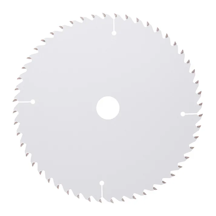 CAINZ PRO マルチチップソー フッ素コーティング 165mm×52P