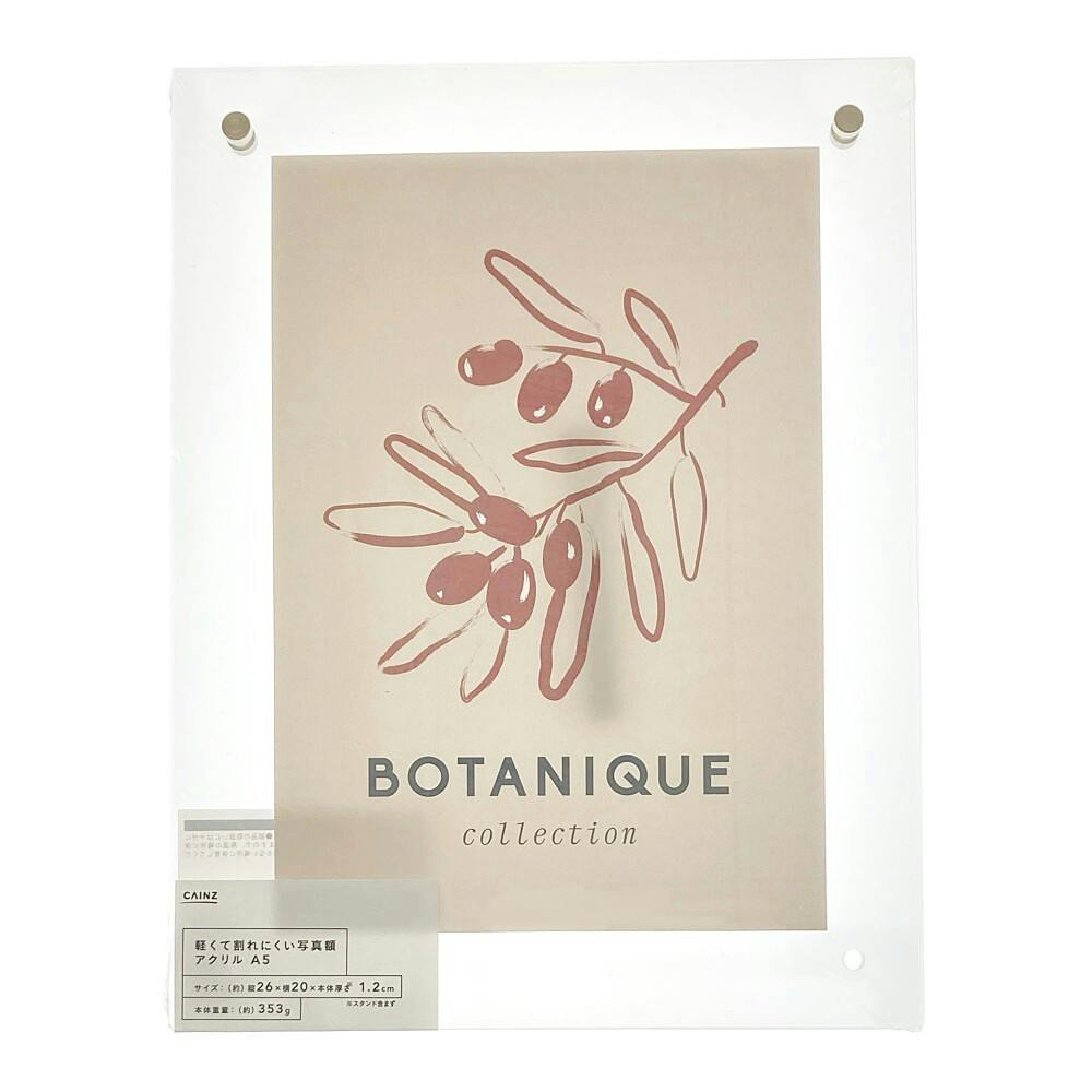 カインズ 軽くて割れにくい写真額 アクリル A5