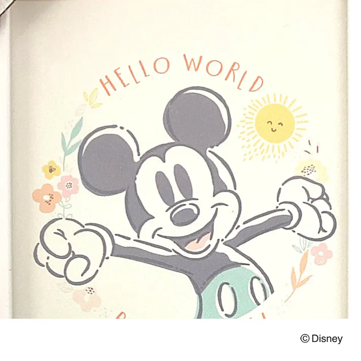 カインズ 軽くて割れにくい写真額 ホワイト L×3枚 ミッキーマウス&ミニーマウス