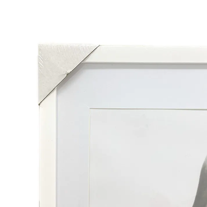 カインズ 軽くて割れにくいポスターフレーム A1サイズ ホワイト