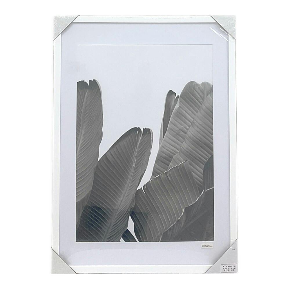 カインズ 軽くて割れにくいポスターフレーム B2サイズ ホワイト
