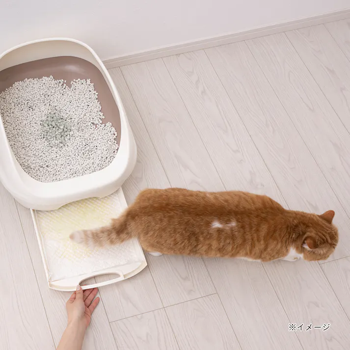 おしっこチェックシステムトイレ用シート 10枚入