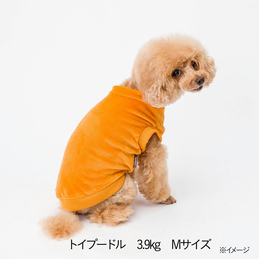 美品✨デッドストック ローデンコート くるみボタン羊毛　コーデュロイ　48 美品✨デッドストック ローデンコート くるみボタン羊毛