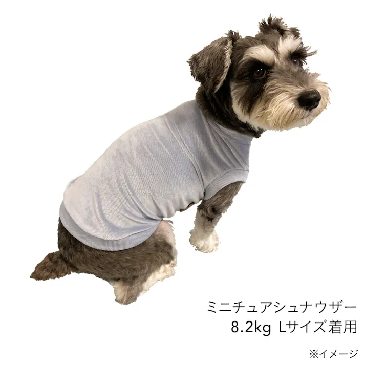 【送料無料】コーデュロイカットソー アッシュブルー 2Lサイズ ペット服(犬の服)(販売終了)