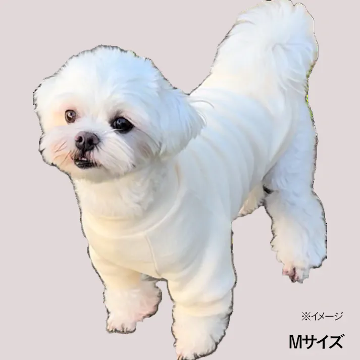 【送料無料】袖付きカットソー ベージュ Mサイズ ペット服(犬の服)(販売終了)