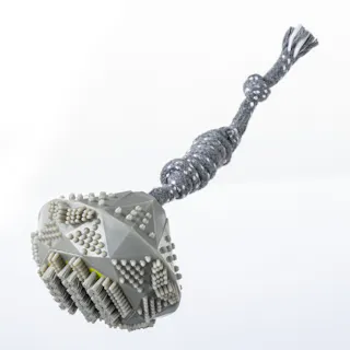 歯ブラシ付きおもちゃ ダイヤ S