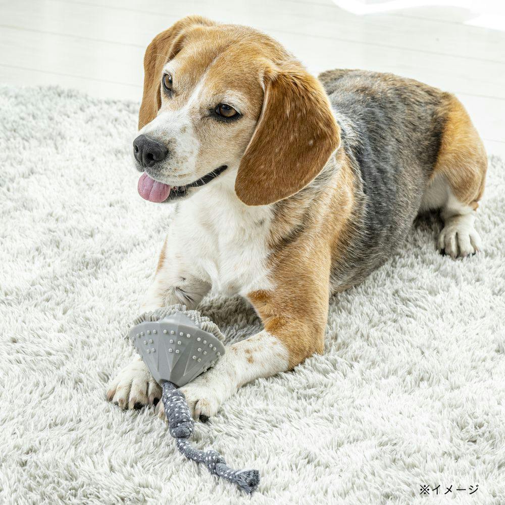 コ*シ様 Megabass バレンタインデー限定セット リスペクトカラー2ndステージ（第21弾）MODENA BONE