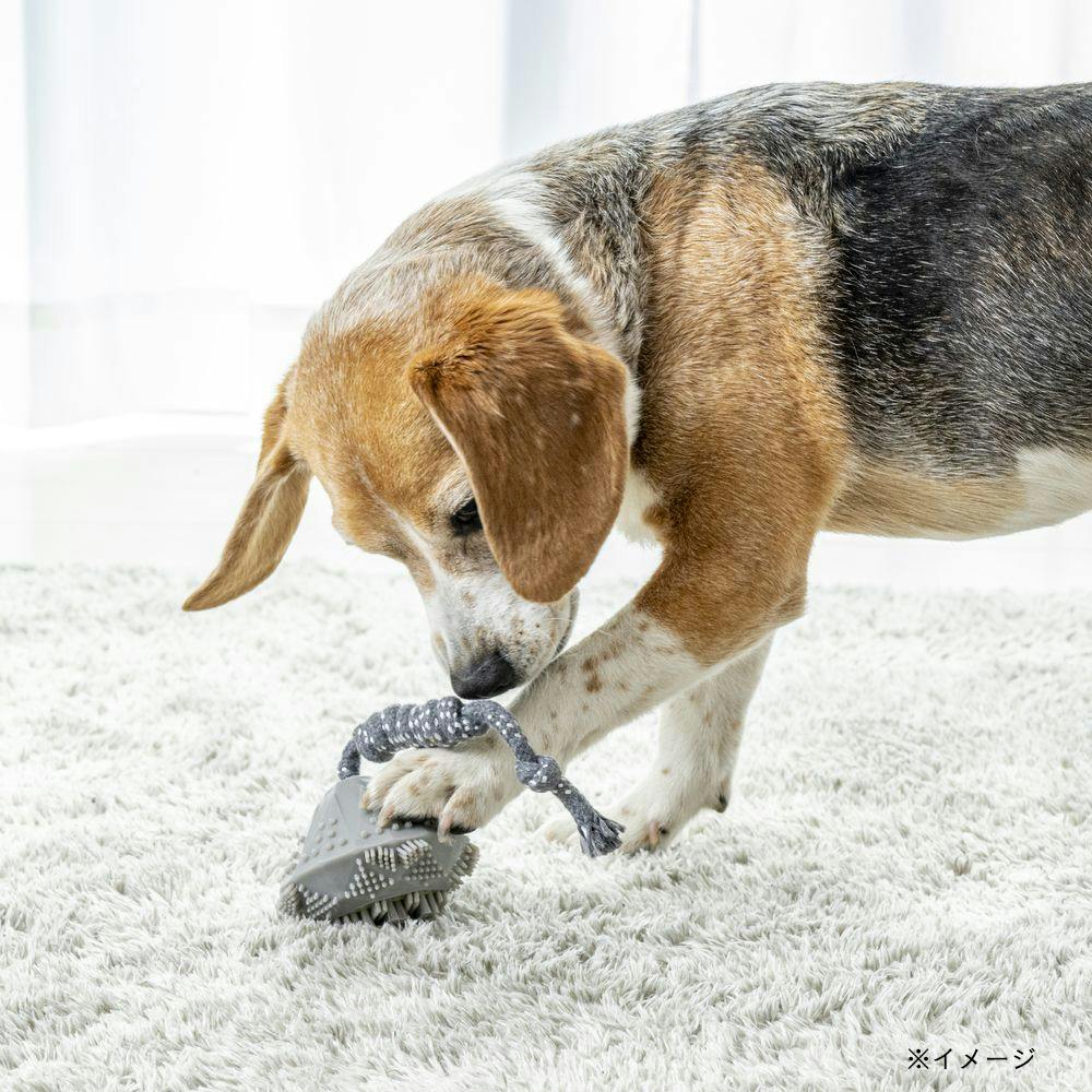 歯ブラシ付きおもちゃ ダイヤ S | ペット用品（犬） 通販