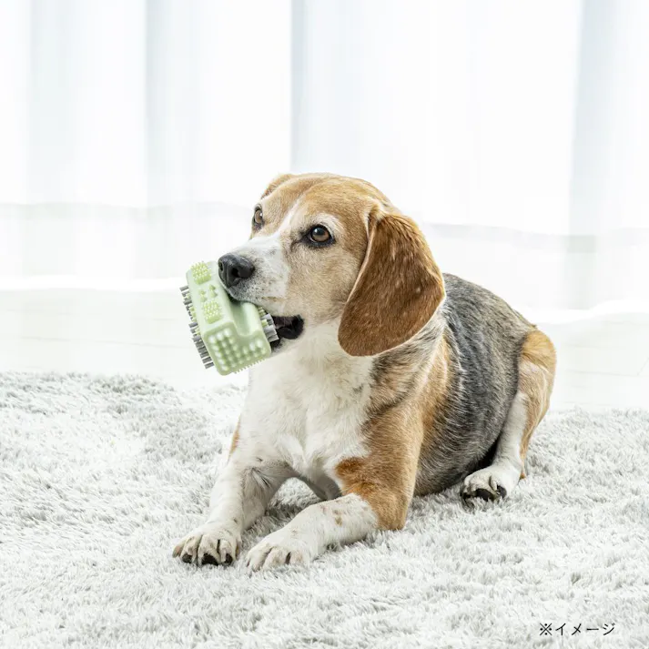 歯ブラシ付きおもちゃ コーナー M