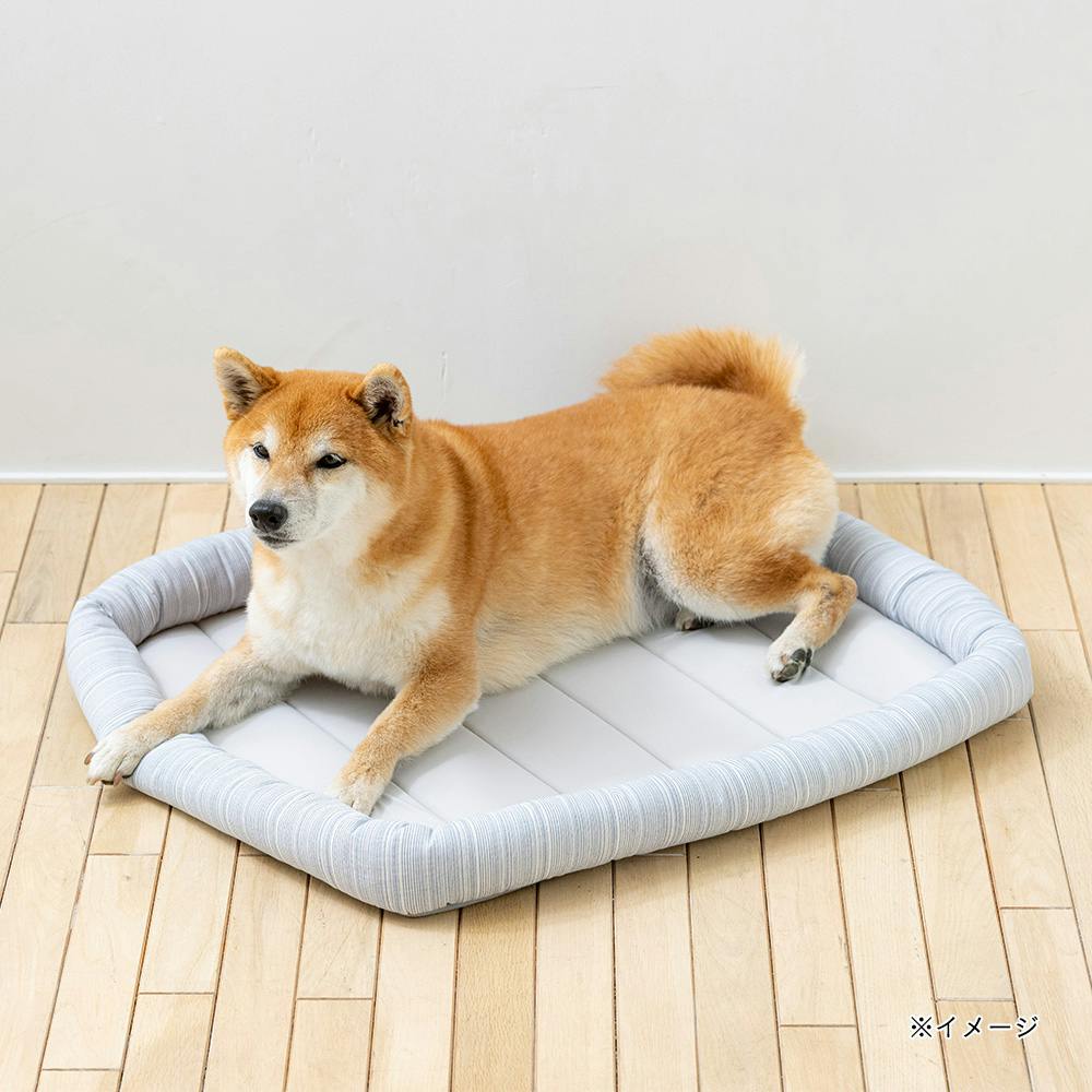 nenne☆彡様専用 #1536 クレートクッションマット 犬服