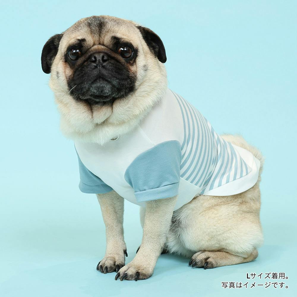 送料無料】袖付きボーダーカットソー ブルー Lサイズ ペット服(犬の服