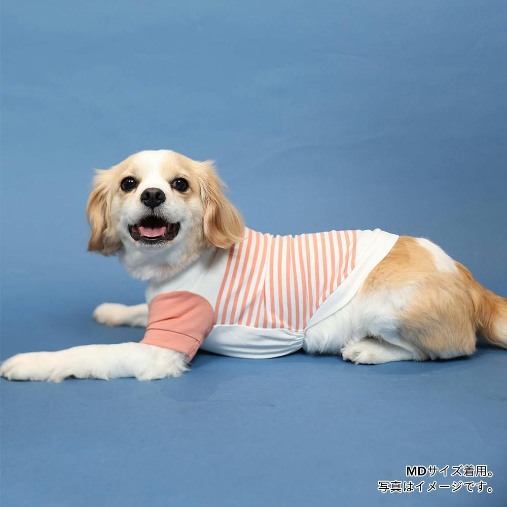 送料無料】袖付きボーダーカットソー ピンク Mサイズ ペット服