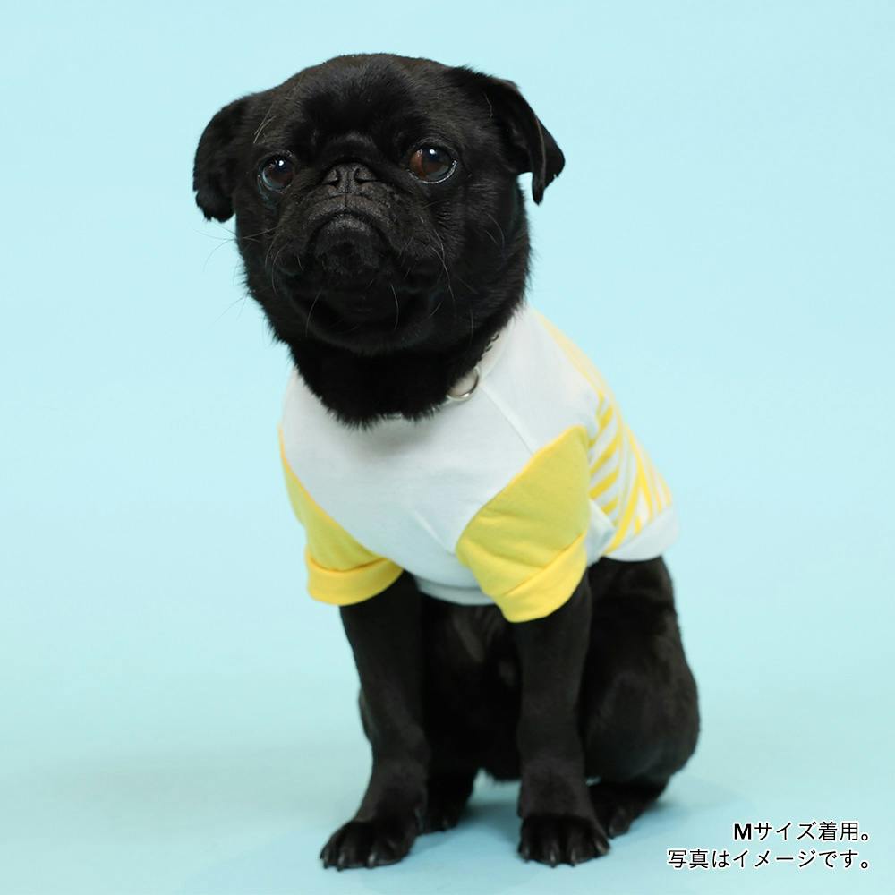 ボーダー袖の犬の服 kamakuradog 鎌倉ボーダー's 犬の服 人気 : 鎌倉DOG Yahoo!店