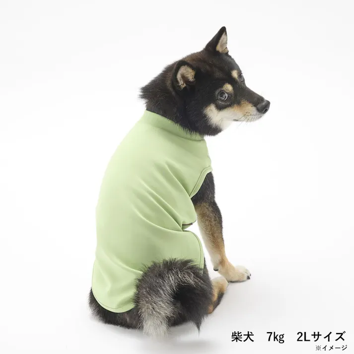 【送料無料】スムースカットソー グリーン 2Lサイズ ペット服(犬の服)