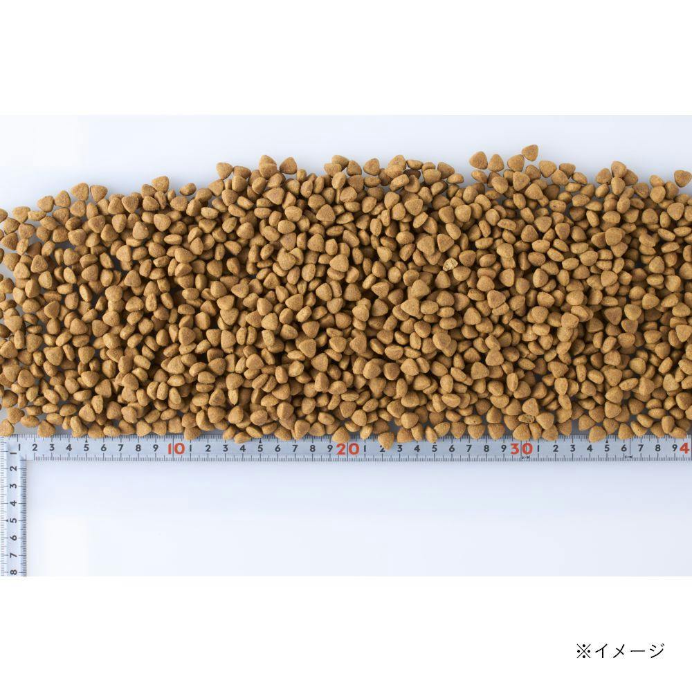 dog　玄米 スマイリア 鶏肉と玄米のぜいたく素材ごはん 200g 成犬用