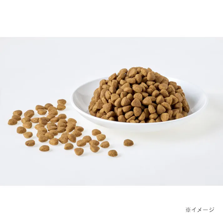 スマイリア 鶏肉と玄米のぜいたく素材ごはん 200g 成犬用