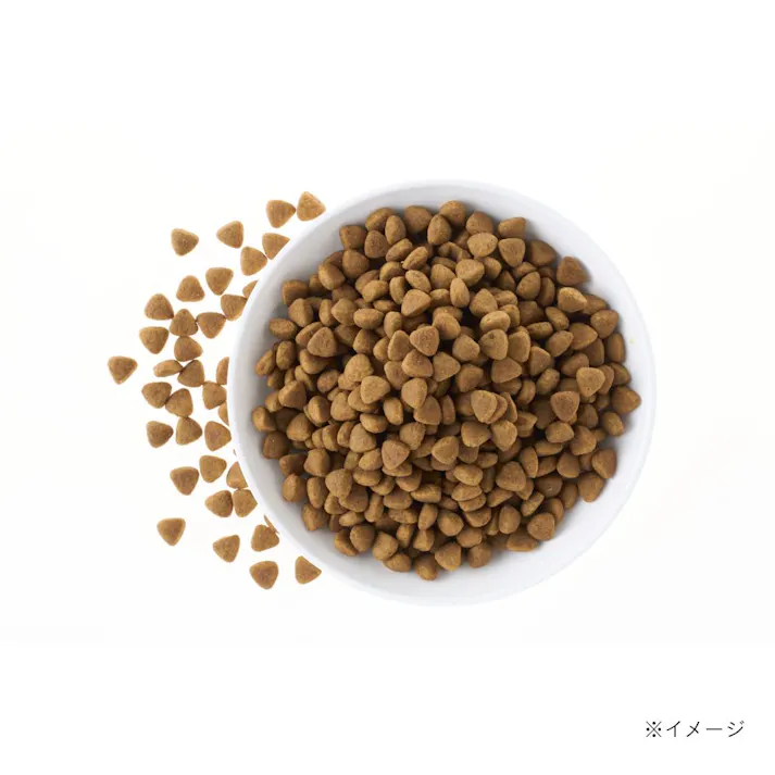 スマイリア 鶏肉と玄米のぜいたく素材ごはん 1kg 成犬用