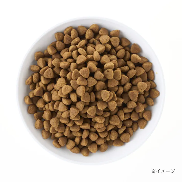 スマイリア 鶏肉と玄米のぜいたく素材ごはん 1kg 成犬用